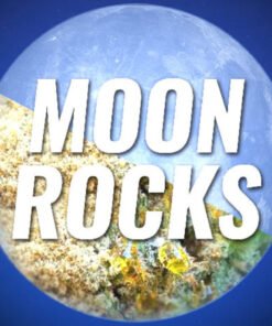 Beställ Moon Rock